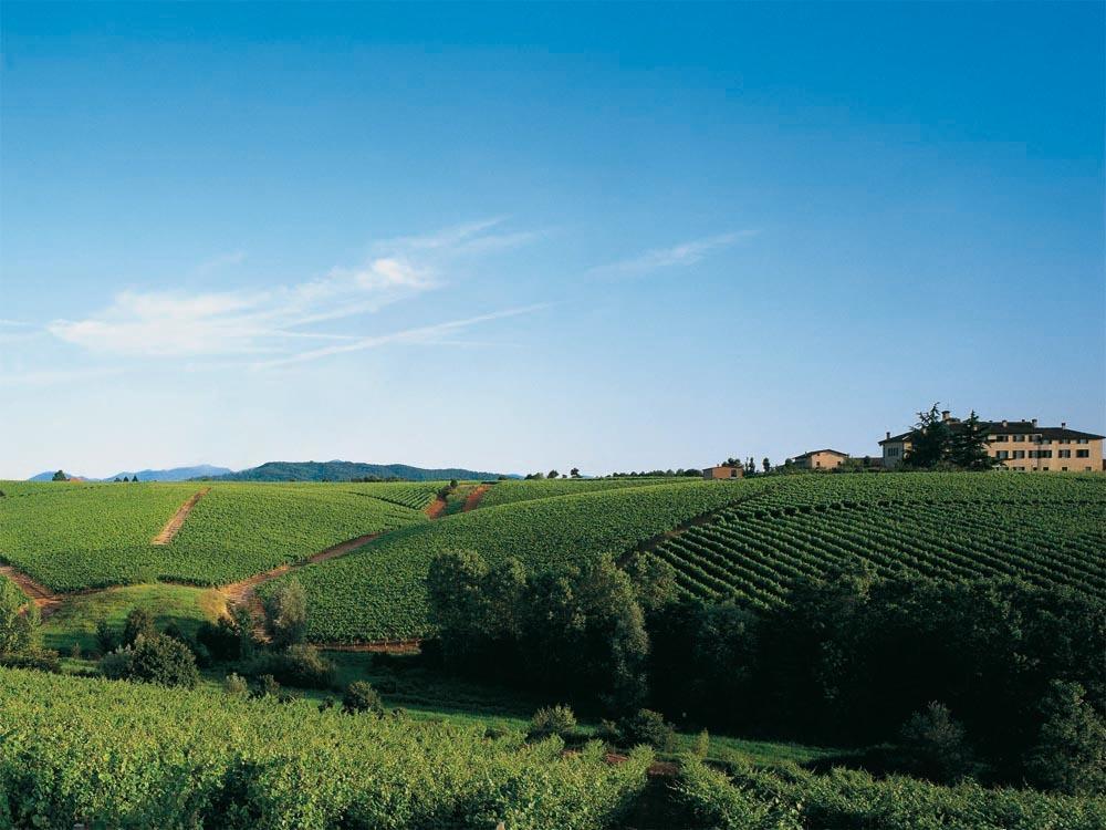Agriturismo Tenuta La Marchesa Novi Ligure Ngoại thất bức ảnh