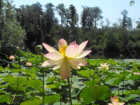 Agriturismo Tenuta La Marchesa Novi Ligure Ngoại thất bức ảnh